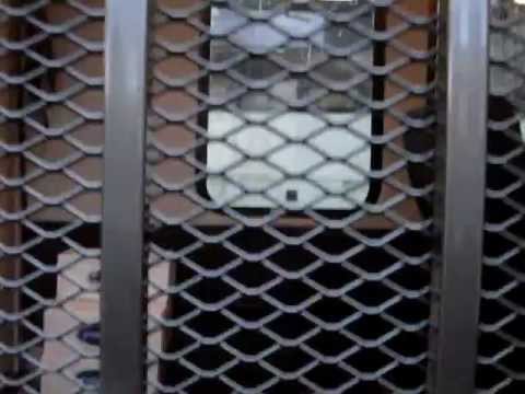 Northwest Bus Sales - 2011 Starcraft Xpress 9 Passenger + Wheelchair Shuttle For Sale - S01636