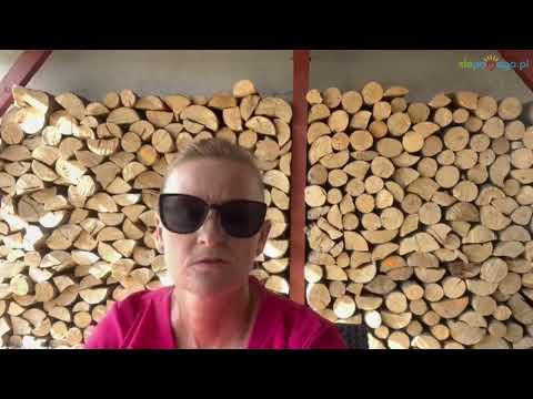 Obrazek poglądowy filmu YouTube