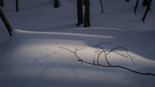 Die Verbannten Kinder Evas - Shadowvale