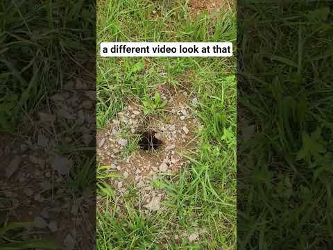 YouTube Short about a Tennessee Flock camera installation issue