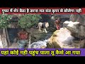 सिरसावन के बियाबान जंगल की गुफा में मि