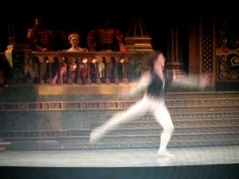 angel corella swan lake male variation