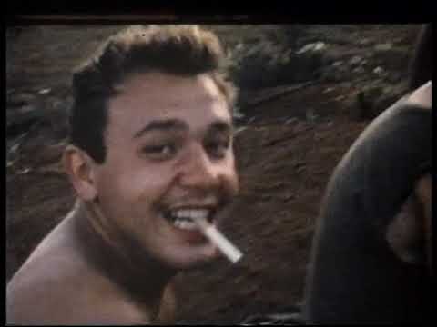 Dear America: Letters Home From Vietnam