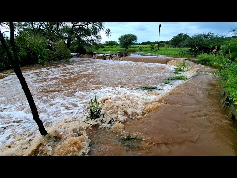 ENCHENTE NA BARRAGEM DE BAGUNCINHA NO MUNICÍPIO DE CATURAMA BAHIA #bahia #nordeste #sertão