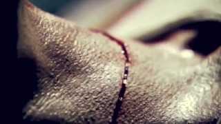 CAZZETTE BLOOD THEME || AT NIGHT MGMT