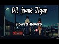 Dil jaane Jigar tujhpe nisaar Kiya hai {slowed ❌ Reverb} hindi gana 90s