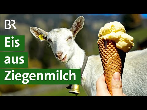 , title : 'Ziegenmilch: Wie schmeckt sie im Eis? | Ziegenhaltung | Landwirtschaft | Unser Land | BR'