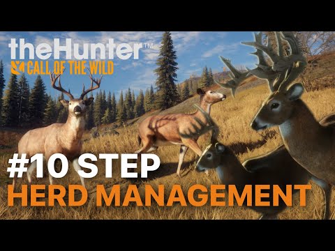 10 STEP GUIDE on HOW TO use HERD MANAGEMENT | the Hunter Call of the Wild