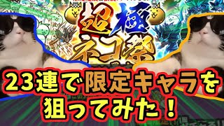 【にゃんこ大戦争】超極ネコ祭が再び来たので、運試しで引いてみた！【字幕実況有りプレイ動画】