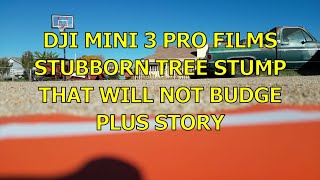 MINI 3 PRO FILMS STUBBORN TDREE STUMP PLUS STORY