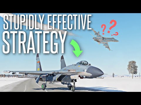 HUMILIATING FLIGHT SIM PLAYERS WITH THIS STUPID STRATEGY - DCS World J-11 Gameplay