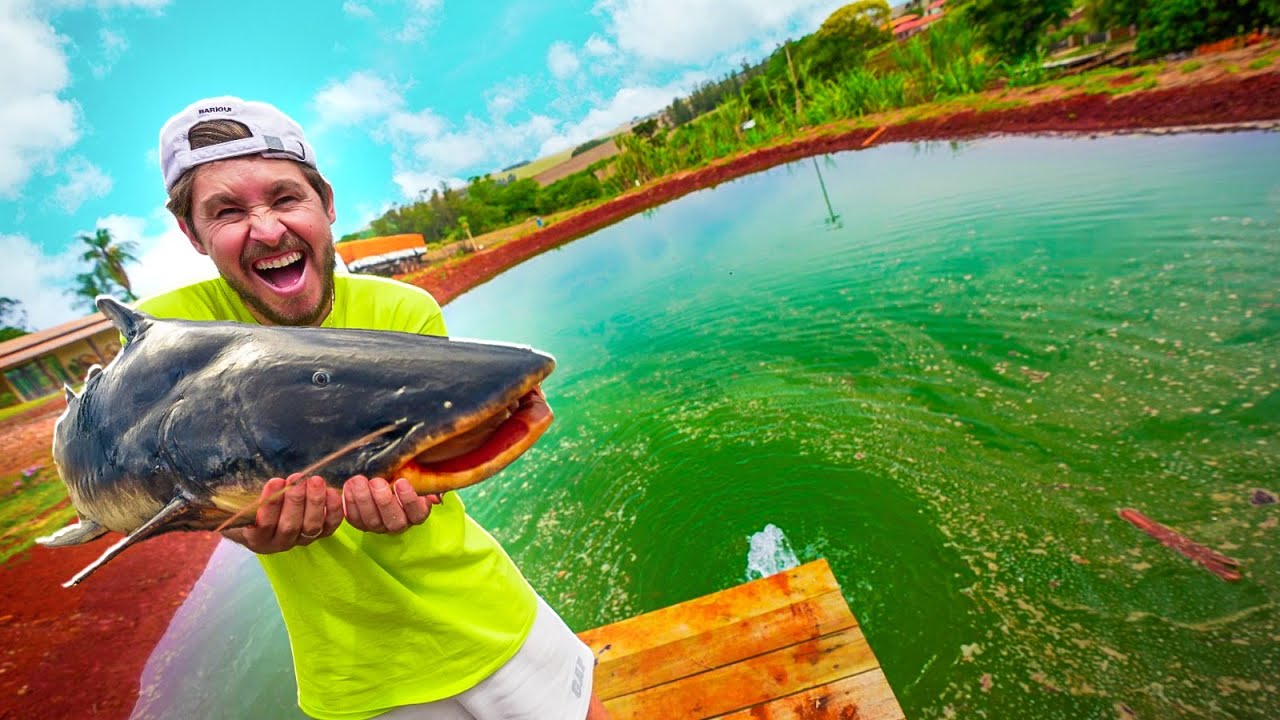 SOLTEI UM PIRARUCU GIGANTE NO MEU LAGO 😍