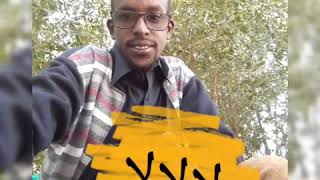 غناء احمد شويحي اغنية الايام سجيه