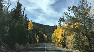 preview picture of video 'Fall color in Great Basin National Park'