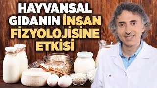 Hayvansal Gıdalar Hangi Hastalıklara Yol Açar? Damar Sertliği (Ateroskleroz) Nasıl Oluşur?