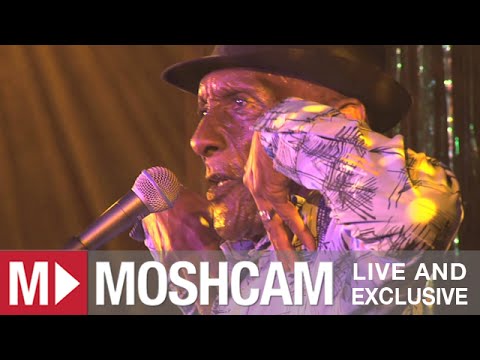 The Jolly Boys - Passenger (Iggy Pop) (Live at Sydney Festival) | Moshcam