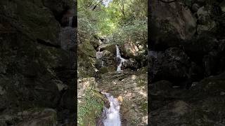奈良・十津川村 山の中の小さな滝🏞️ #japan #travel #奈良