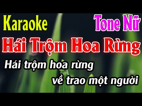 Hái Trộm Hoa Rừng Karaoke Tone Nữ Karaoke Lâm Organ - Beat Mới