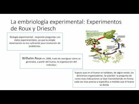 5° Año, Área Biología, Desarrollo Embrionario  Parte 2, Prof. Eglendys Parra