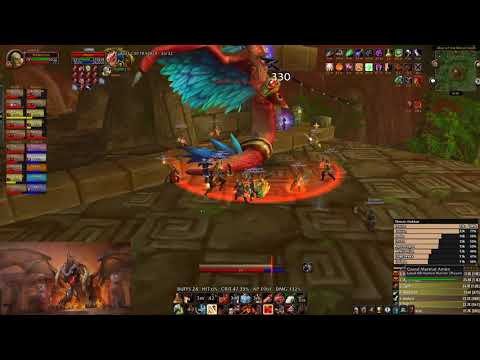 Hakkar Fury warrior 1400+dps