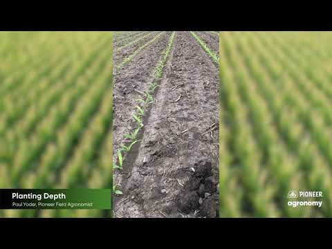 , title : 'Corn Planting Depth: 5 Reasons Why it’s Important'