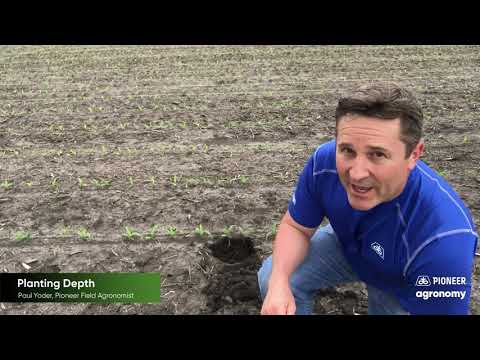 Corn Seeding Depth