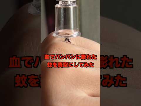 吸血動物の遺伝子を調べる