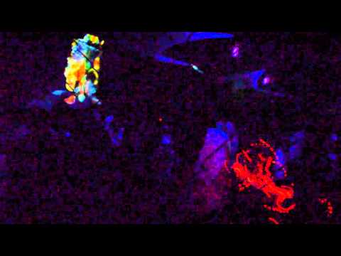 Innummanno - Damaru 2016