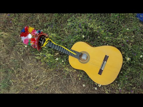Juan Manuel Moreno "Joterias" (jotas extremeñas por bulerias) guitarra flamenca