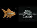 Nickelodeon Fish And Paramount DVD With Menu 2003 2004 Filmed Version
