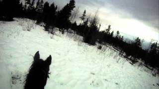 You're in Paradise now...