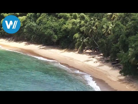 Tobago (travel-documentary from the season "Caribbean Moments")