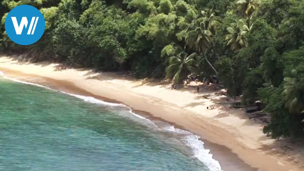 Tobago (travel-documentary from the season Caribbean Moments )