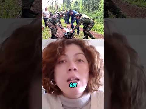 #Montecarlo #Misiones #ZoologicoMontecarlo #MaltratoAnimal #OJANA #MicaelaPereira