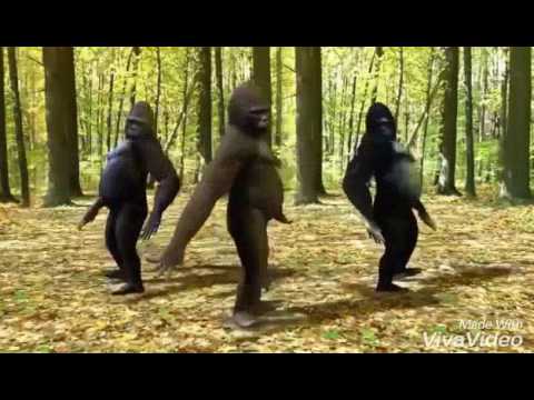  Belilah Lagu Meskipun Iqbal dan Temannya Kalah download gudang lagu mp3 terbaru 2019 Download Mp3 Boomerang Episode April