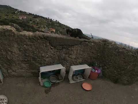 Il sentiero del Beodo...MtBiKe