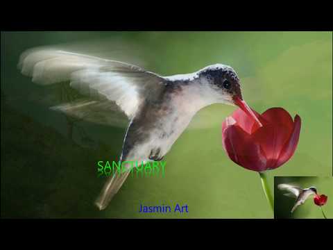 Jasmin Creation Ambient  -  For an Angel - (Music video)