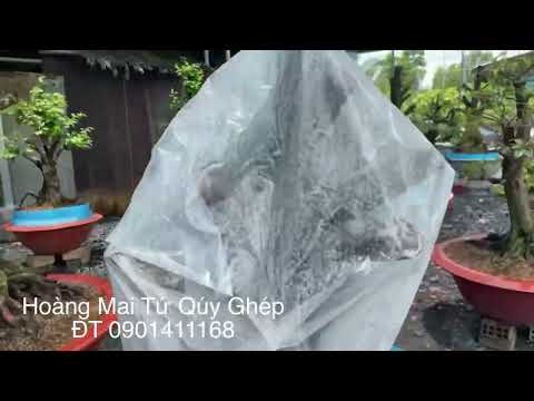 High efficiency when wrapping plastic / for non-slip embryos 3/4/2022