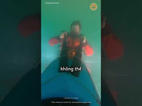 Tại sao chèo kayak phải vượt qua bài thử thách với chai nước? 🤯⚠️