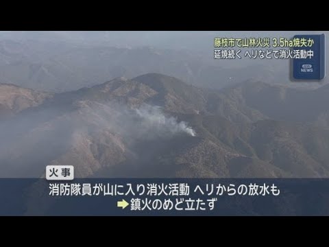 YouTube Video １７日静岡県藤枝市で発生した山林火災は現在も延焼中　いまのところ鎮火のめどは立たず