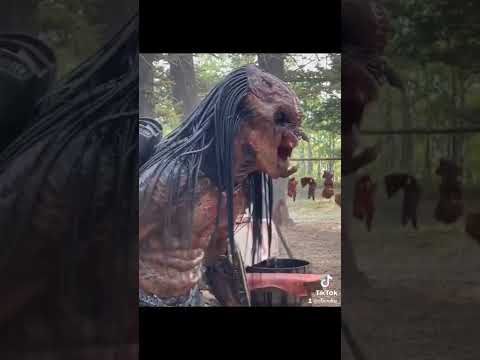 Depredador detrás de camaras.