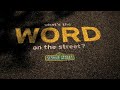 Sesame Street What S The Word On The Street Season 40 2009 2010