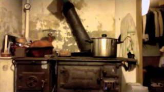 DEN SVENSKA BJÖRNSTAMMEN - Jag  hatar dig