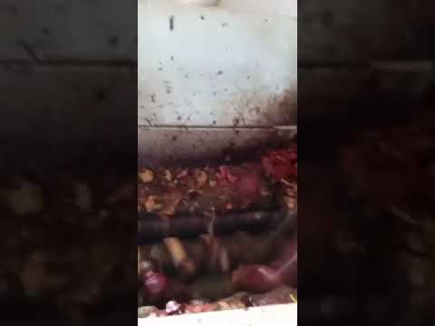 EmPRO Peller Onion 1000 P230607041