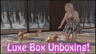 Unboxing Time! January Luxe Box In Second Life!