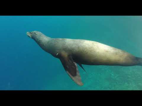 Tour 360 San Cristóbal - Galapagos Islands