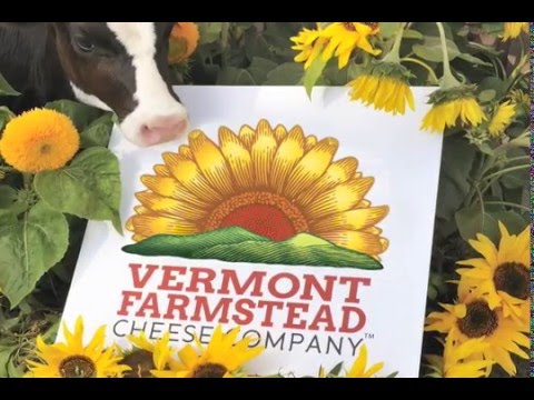 download lagu mp3 mp4 Vermont Artisan Cheese, download lagu Vermont Artisan Cheese gratis, unduh video klip Vermont Artisan Cheese