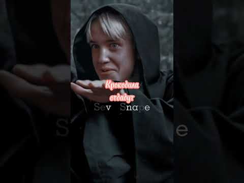 Вот так Распределяющая шляпа определила Гарри на Гриффиндор 😅 #shorts #hp