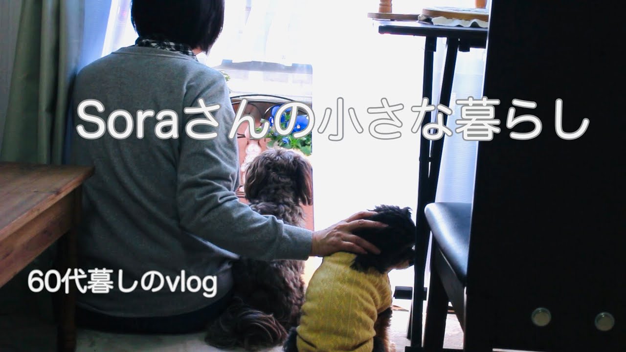 《ひとりと3匹の気ままな暮らし》姫と仲良くなりたいクー/作り置き/可愛いが一杯の1週間　　#ひとり暮らし  #暮らしvlog 