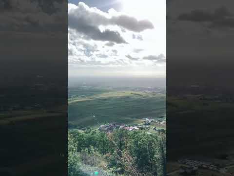 Neustadt an der Weinstraße | Wein, Fachwerk & Pfälzer Charme 🇩🇪 | Wine, Castles & German Charm 🍷